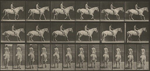 Plate Number 582. "Smith" walking, saddled; rider nude