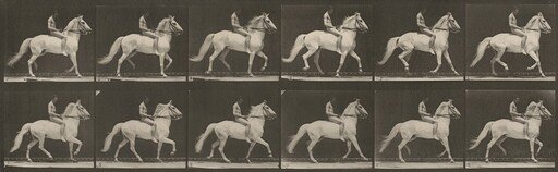 Plate Number 590. "Clinton" ambling, bareback; rider nude