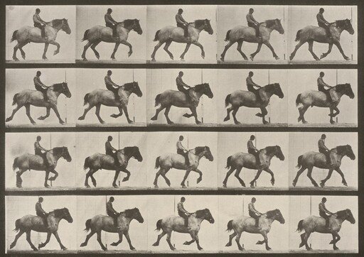 Plate Number 597. "Hansel" trotting, bareback