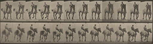 Plate Number 600. "Dusel" trotting, bareback