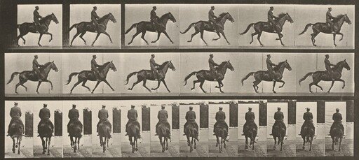 Plate Number 601. "Beauty" trotting, saddled