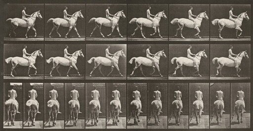 Plate Number 602. "Smith" trotting, bareback; rider nude