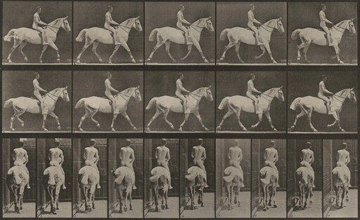 Plate Number 603. "Smith" trotting, saddled; rider nude