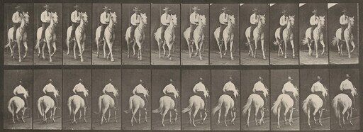Plate Number 604. "Elberon" trotting, saddled