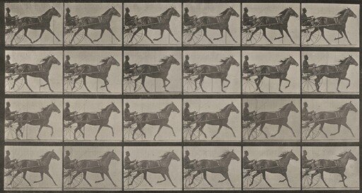 Plate Number 607. "Lizzie M." trotting, harnessed to sulky