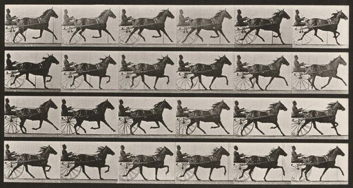 Plate Number 609. "Lizzie M." trotting, harnessed to sulky