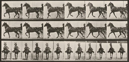 Plate Number 612. "Dercum" trotting, harnessed to sulky