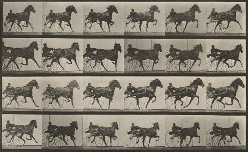 Plate Number 613. "Nellie Rose" trotting, harnessed to sulky