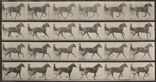 Plate Number 614. "Flode Holden" trotting, harnessed to sulky, breaking into a gallop