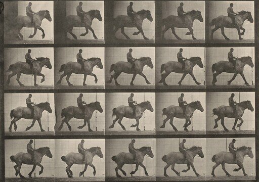 Plate Number 615. "Hansel" cantering, bareback
