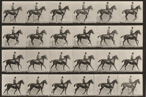 Plate Number 616. "Daisy" cantering, saddled