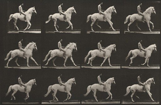 Plate Number 617. "Clinton" cantering, bareback; rider nude