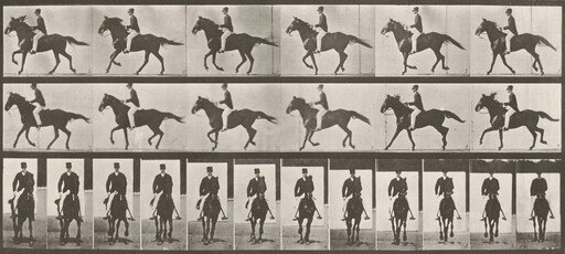 Plate Number 618. "Middleton" cantering, saddled