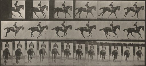 Plate Number 620. "Annie G." cantering, saddled