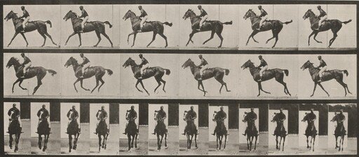 Plate Number 621. "Annie G." cantering, saddled