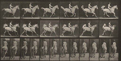 Plate Number 622. "Smith" cantering, saddled; rider nude