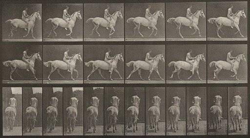 Plate Number 623. "Smith" cantering, bareback; rider nude