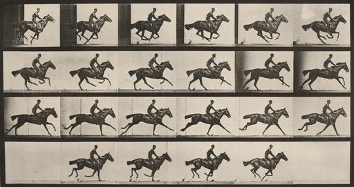 Plate Number 625. "Bouquet" galloping