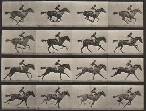 Plate Number 626. "Annie G." galloping