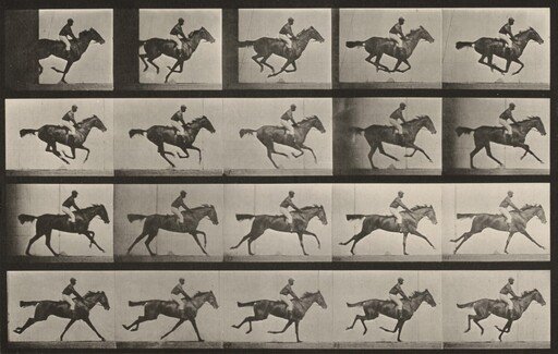 Plate Number 627. "Annie G." galloping