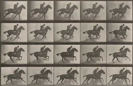 Plate Number 628. "Daisy" galloping