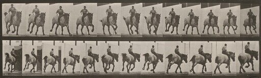 Plate Number 629. "Hansel" galloping, bareback
