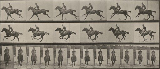 Plate Number 631. "Bouquet" galloping, saddled