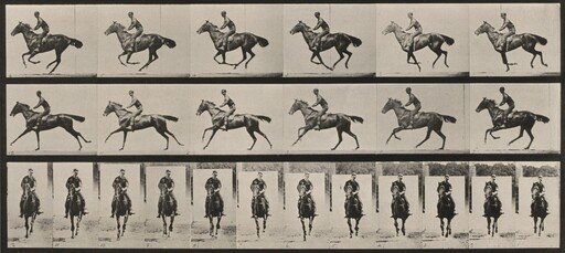 Plate Number 632. "Bouquet" galloping, saddled