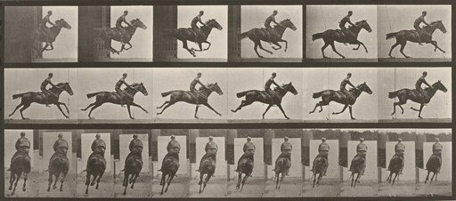 Plate Number 633. "Bouquet" galloping, saddled