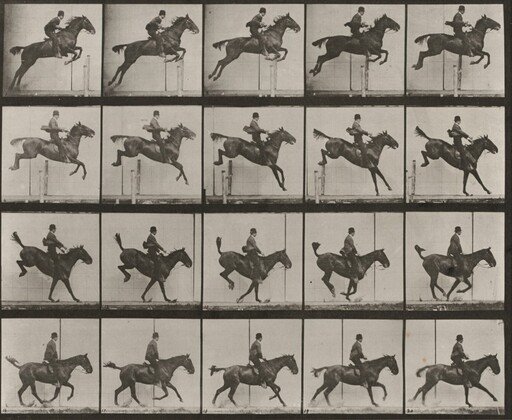 Plate Number 637. "Daisy" jumping a hurdle, saddled, clearing, landing and recovering