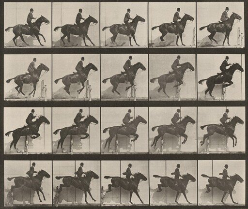 Plate Number 638. "Daisy" jumping a hurdle, saddled
