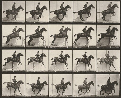 Plate Number 640. "Daisy" jumping a hurdle, saddled