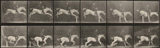 Plate Number 641. "Pandora" jumping a hurdle, saddled, knocking over the hurdle and landing