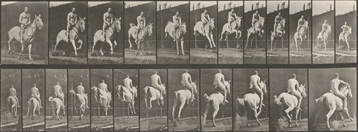 Plate Number 646. "Pandora" jumping a hurdle, saddled; rider nude