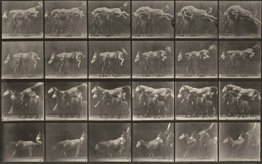 Plate Number 648. "Hornet" jumping over three horses