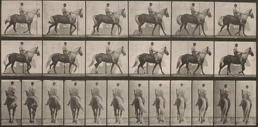 Plate Number 653. "Buckskin" walking, lame right front foot