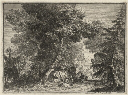A Road through the Woods