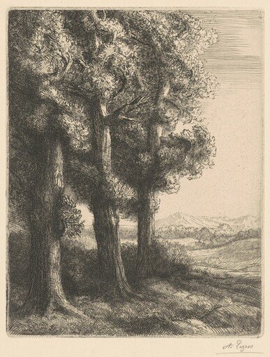 Corner of a Wood (Coin d'un Bois)