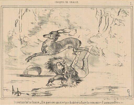 Ouverture de la chasse