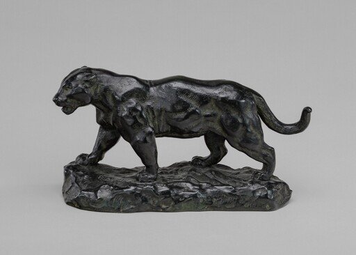 Walking Jaguar