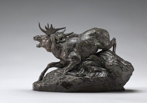 Elk Surprised by a Lynx