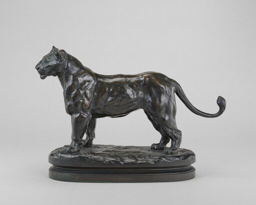 Lioness of Algeria
