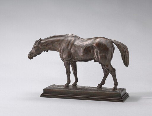 Half-Blooded Horse, with Head Down