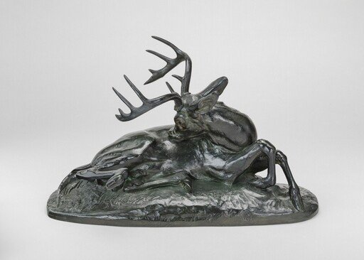 Virginia Deer Reclining