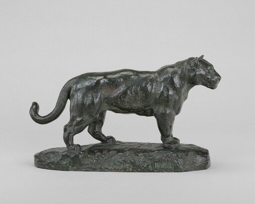Standing Jaguar