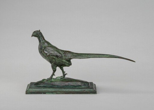 Pheasant, Head to Left