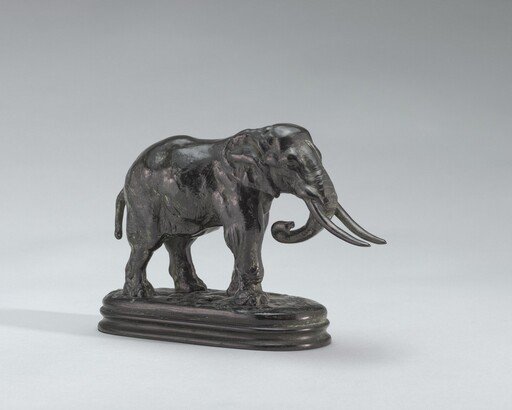 African Elephant