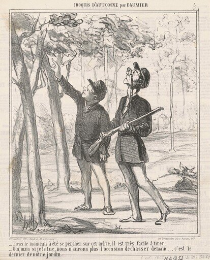 Tiens, le moineau a été sepercher