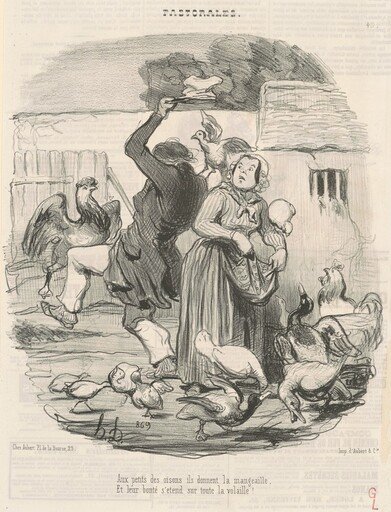 Aux petits des oisons, ils donnent la mangeaille ...