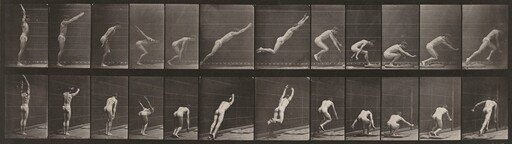 Plate Number 162. Jumping, standing broad jump